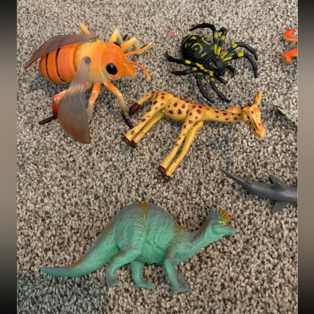 Animal Lot - Picture 2 of 4